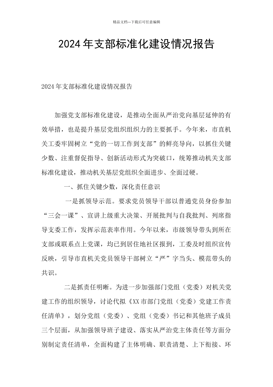 2024年支部标准化建设情况报告_第1页