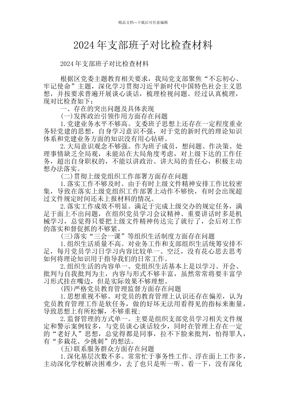 2024年支部班子对照检查材料_第1页