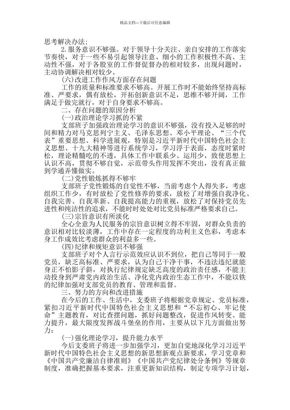 2024年支部班子对照检查材料_第2页