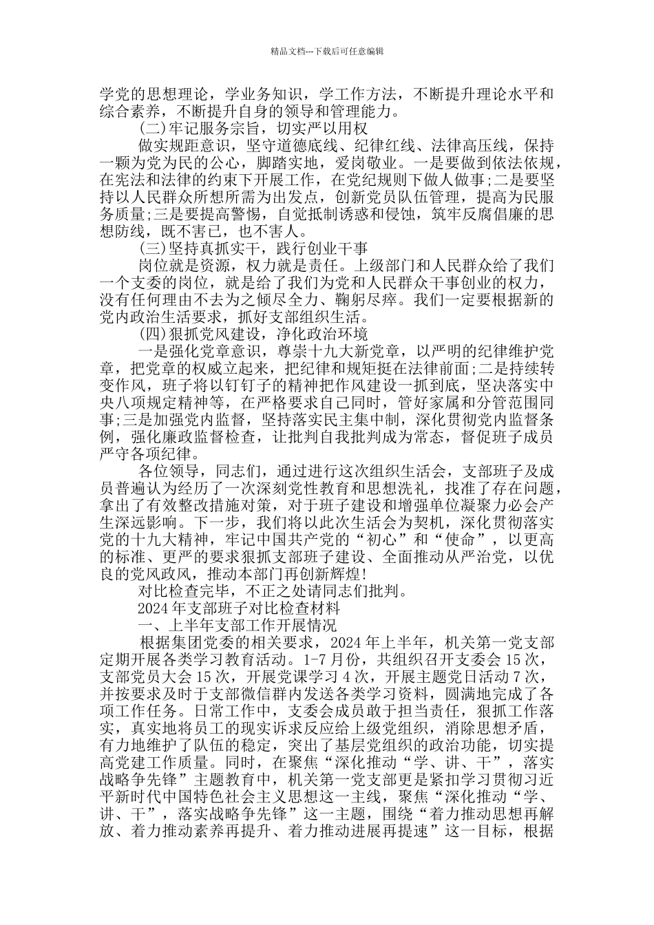 2024年支部班子对照检查材料_第3页