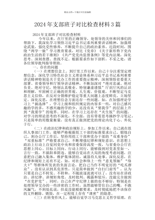 2024年支部班子对照检查材料3篇