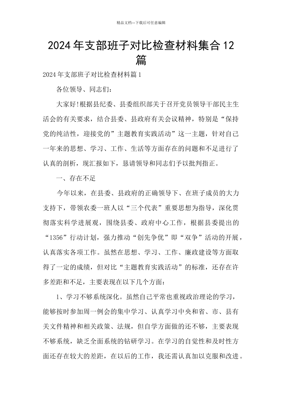 2024年支部班子对照检查材料集合12篇_第1页