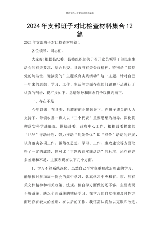 2024年支部班子对照检查材料集合12篇