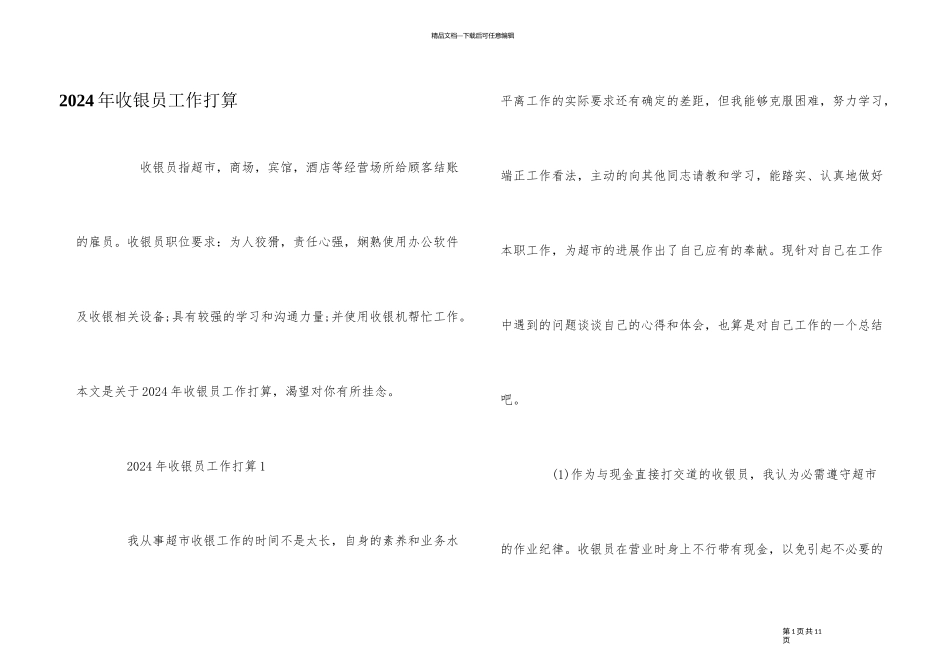 2024年收银员工作计划_第1页