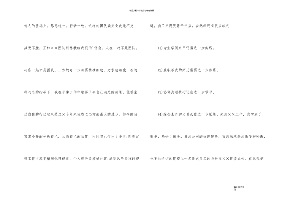 2024年教研试用期工作总结_第2页
