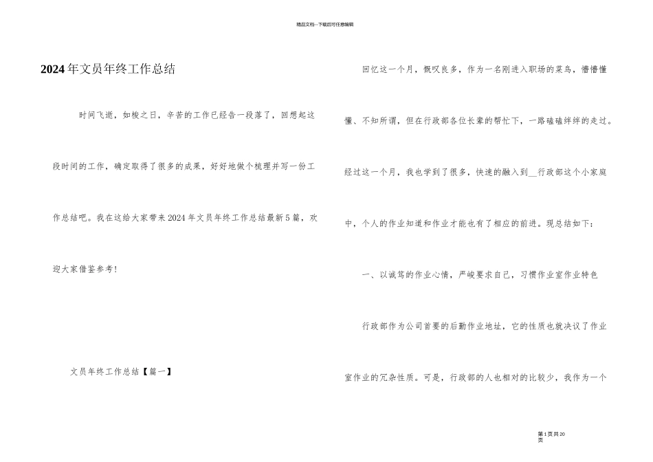 2024年文员年终工作总结_第1页