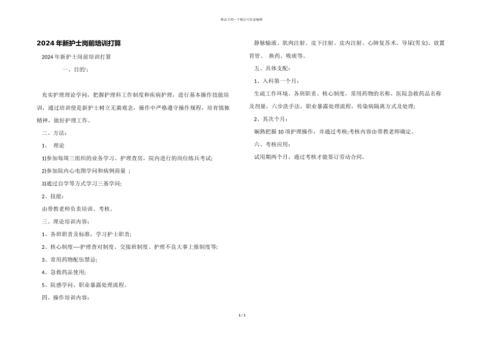 2024年新护士岗前培训计划_第1页