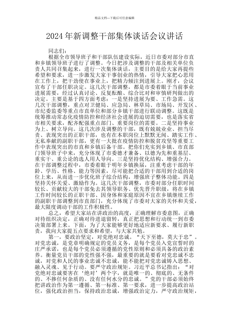 2024年新调整干部集体谈话会议讲话_第1页