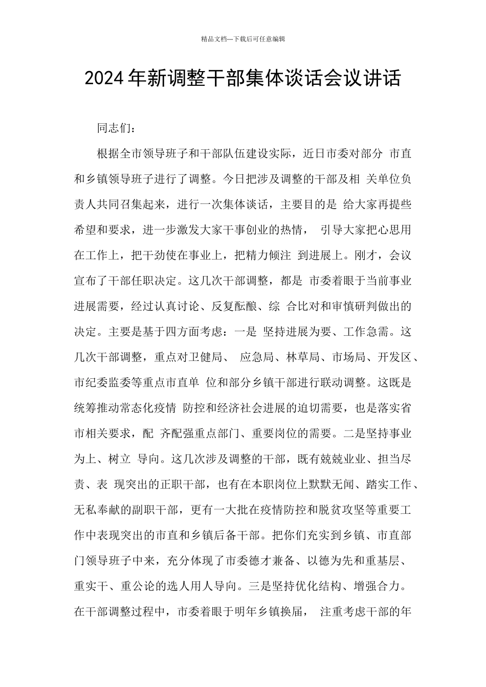 2024年新调整干部集体谈话会议讲话_第1页