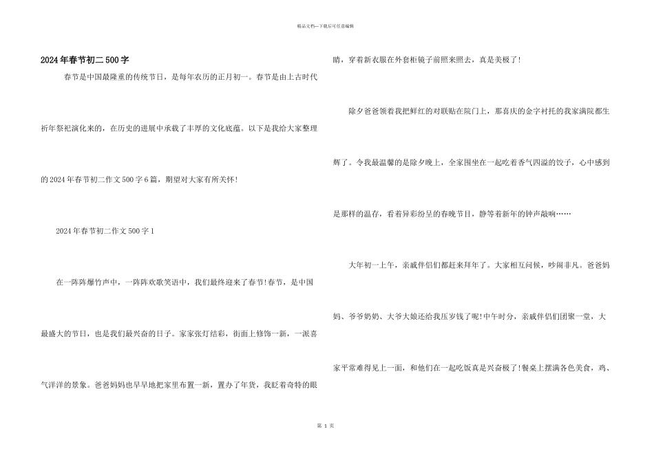 2024年春节初二500字_第1页