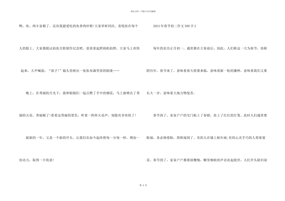 2024年春节初二500字_第2页