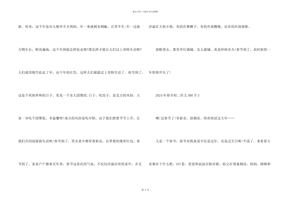 2024年春节初二500字_第3页
