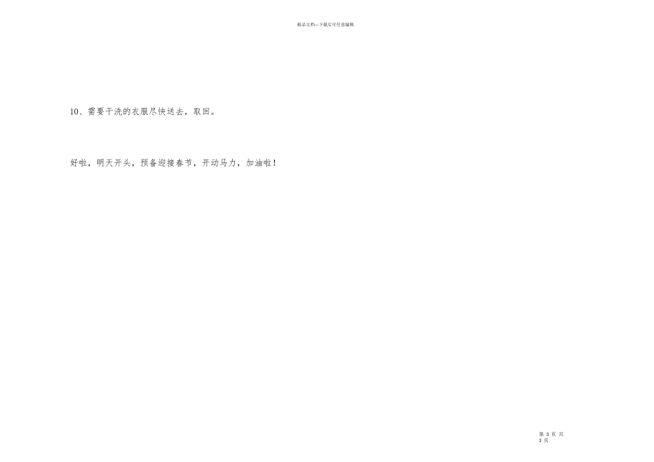 2024年春节工作计划_第3页