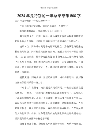 2024年是特殊的一年总结感想800字