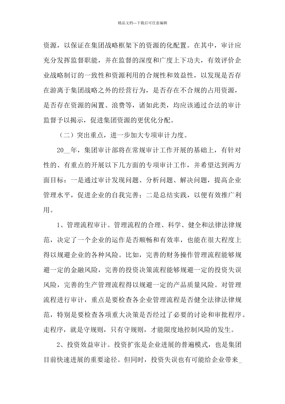 2024年最新公司内部审计个人工作计划优选_第2页