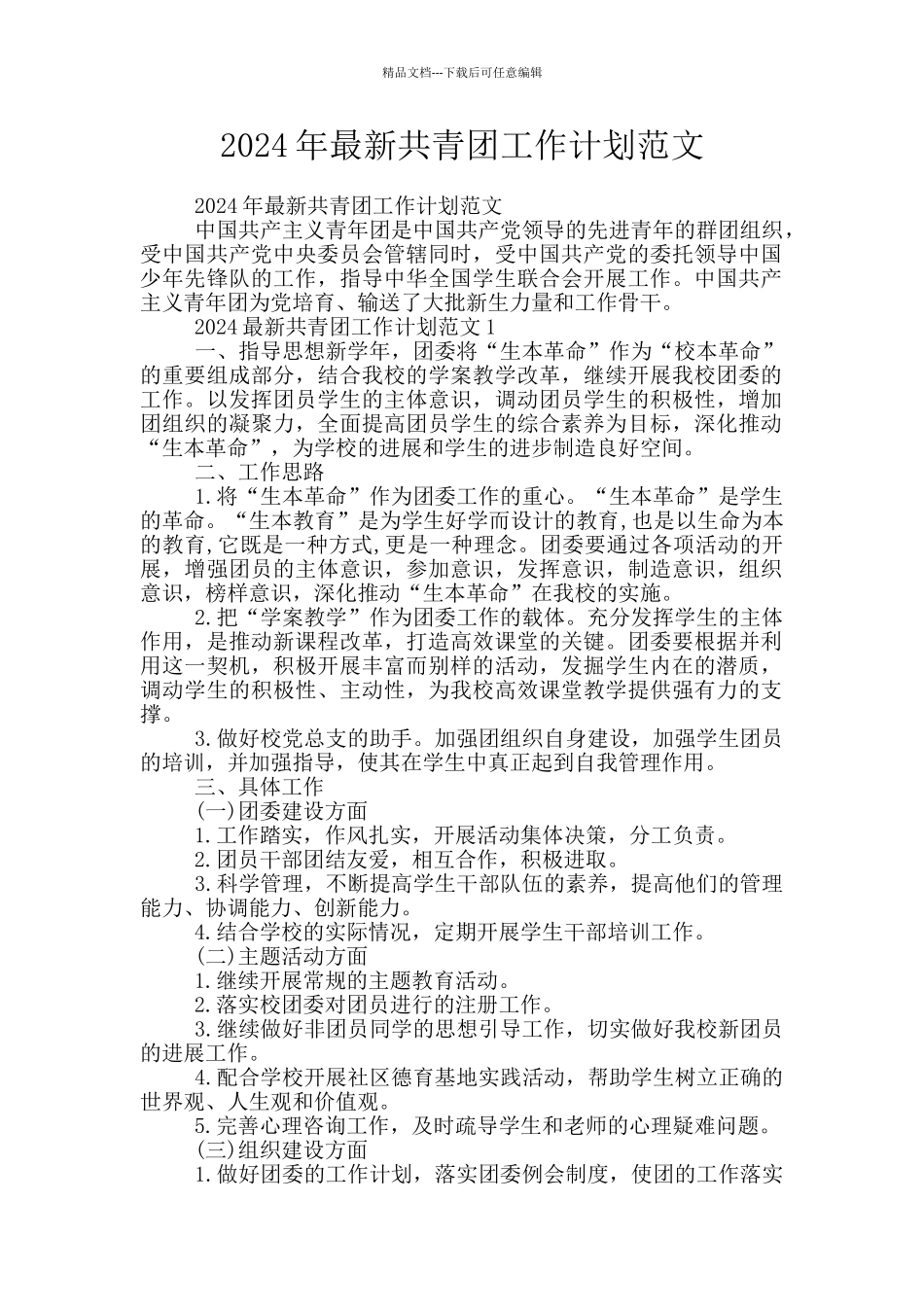 2024年最新共青团工作计划范文_第1页