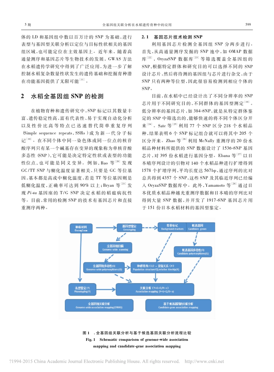 全基因组关联分析在水稻遗传育种中的应用_唐富福_第2页