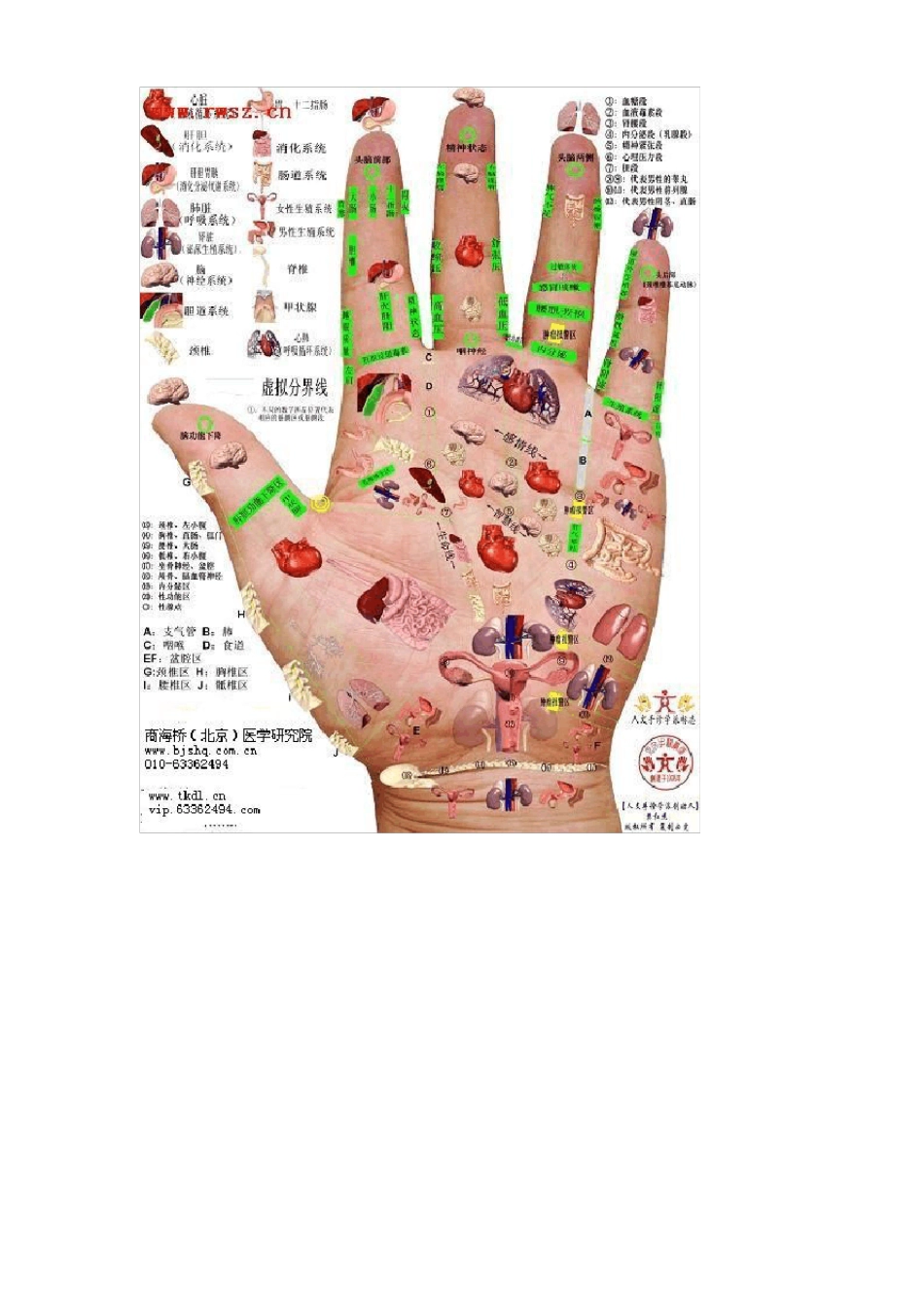 全息手穴位图_第3页
