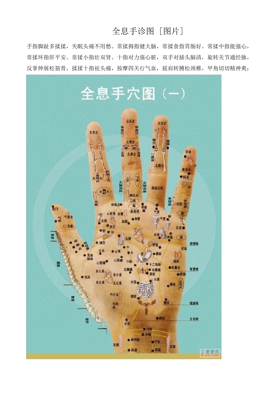 全息手诊图(转载)2_第1页