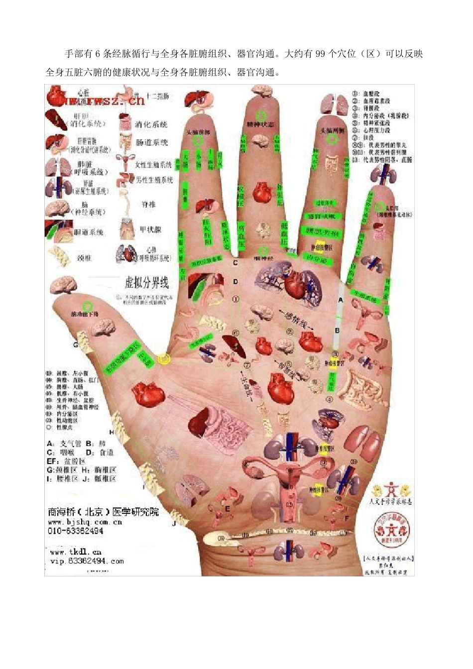 全息手诊图(转载)2_第3页