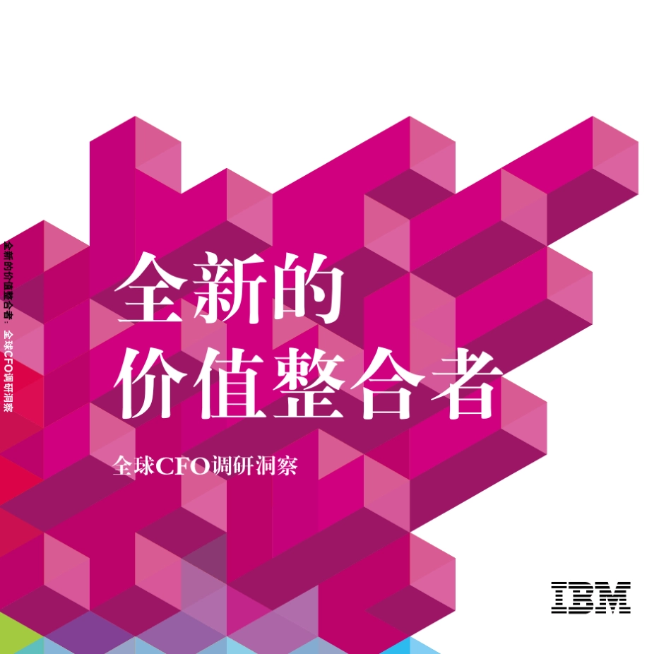 全新的价值整合者_第1页