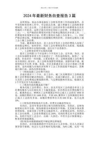 2024年最新财务自查报告3篇
