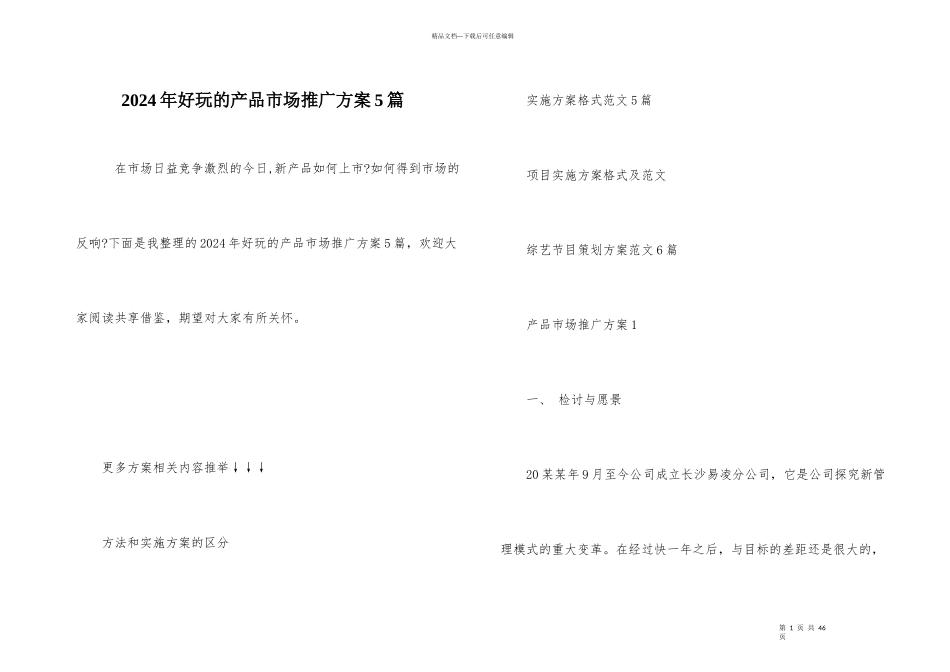 2024年有趣的产品市场推广方案5篇_第1页