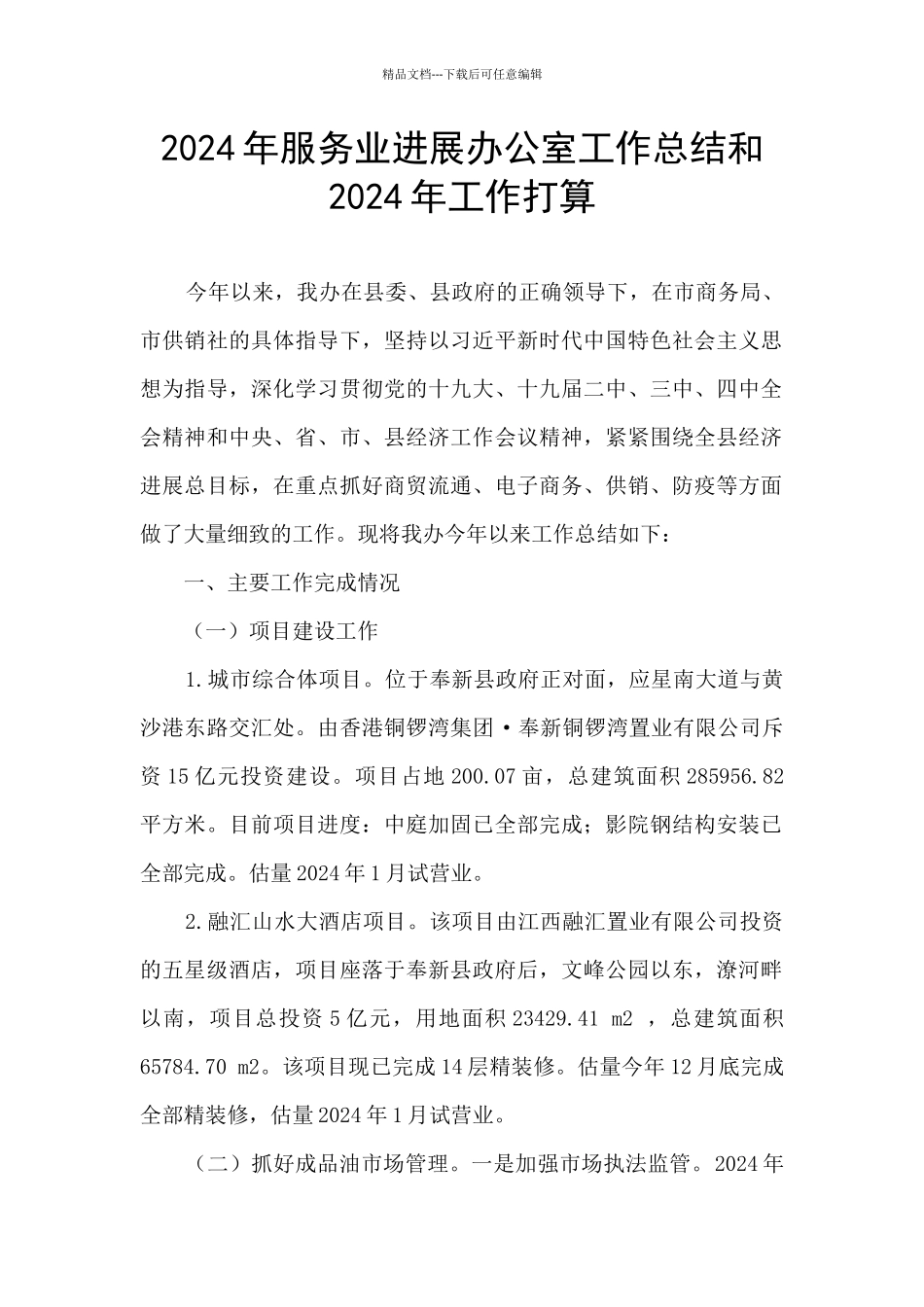 2024年服务业发展办公室工作总结和2024年工作打算_第1页