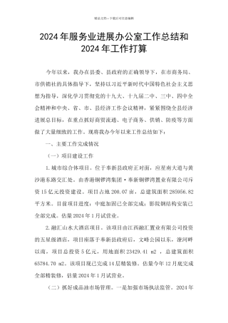 2024年服务业发展办公室工作总结和2024年工作打算