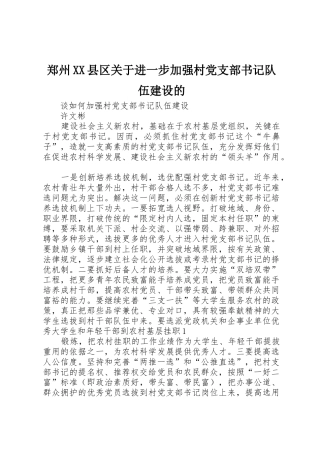 郑州XX县区关于进一步加强村党支部书记队伍建设的_1
