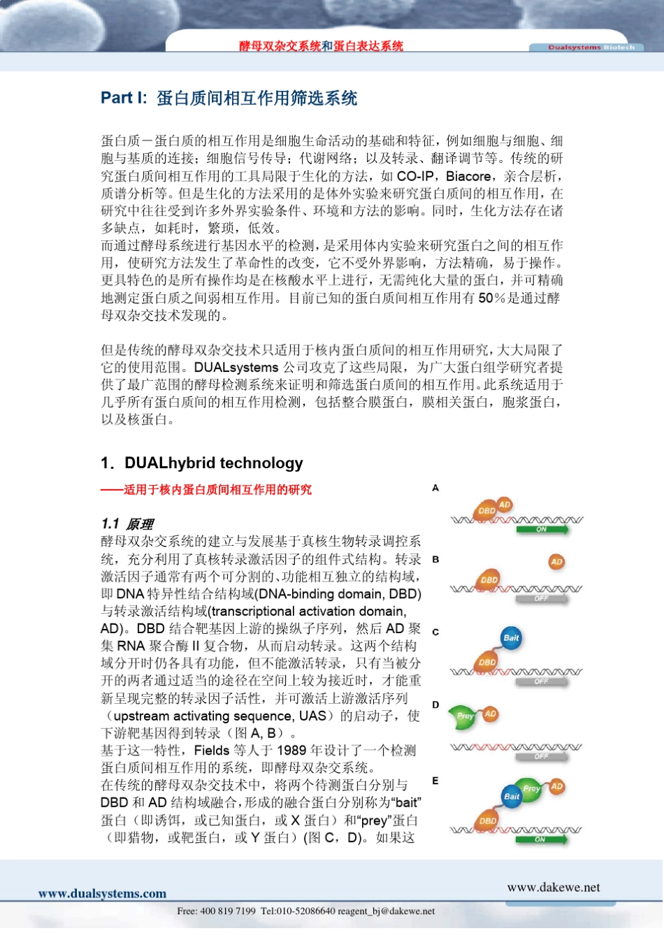 全能型酵母双杂交系统和蛋白表达系统_第2页