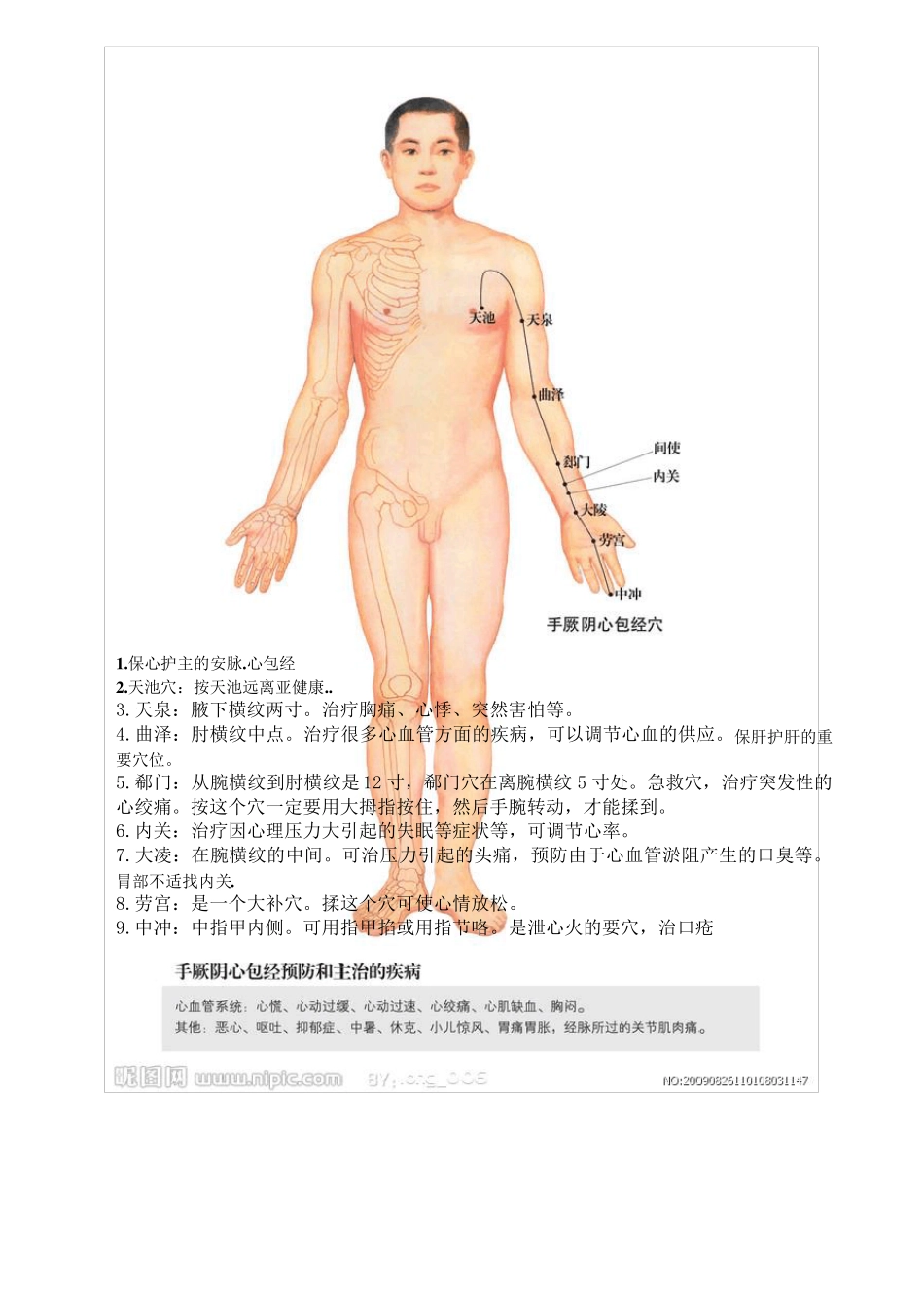 全身14经络示范图(整理打印版)_第2页