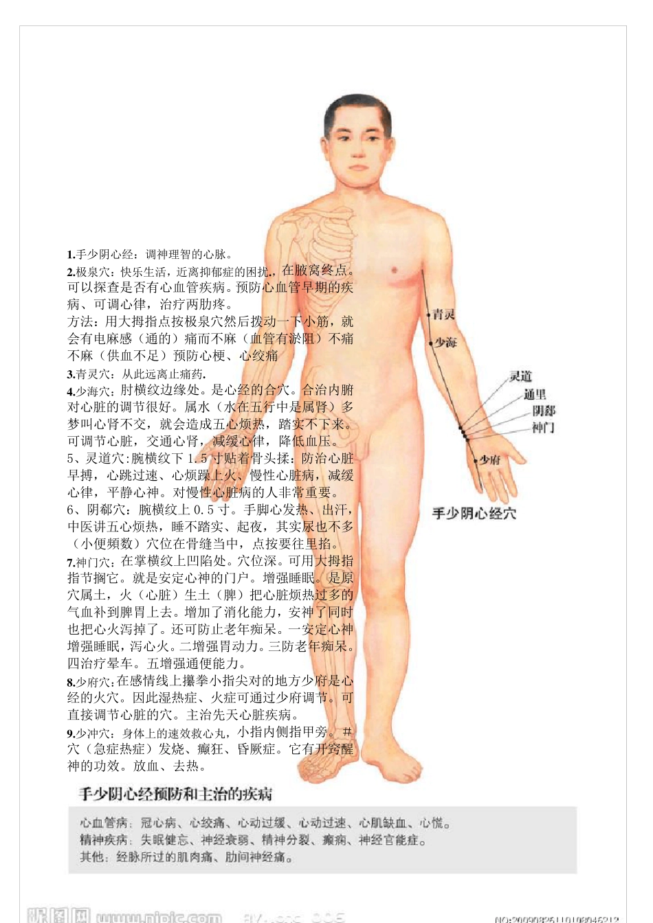 全身14经络示范图(整理打印版)_第3页