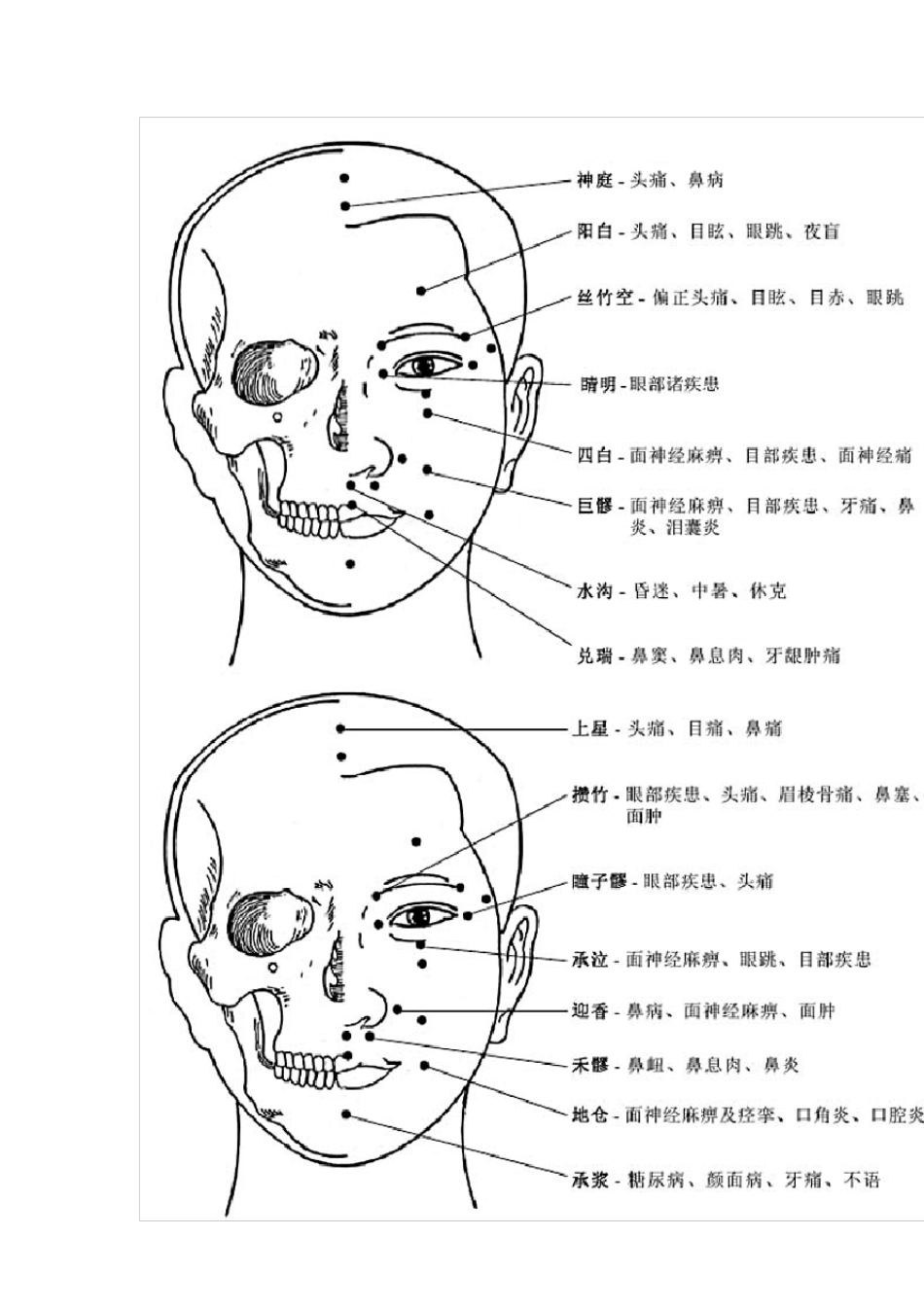 全身穴位作用图_第3页