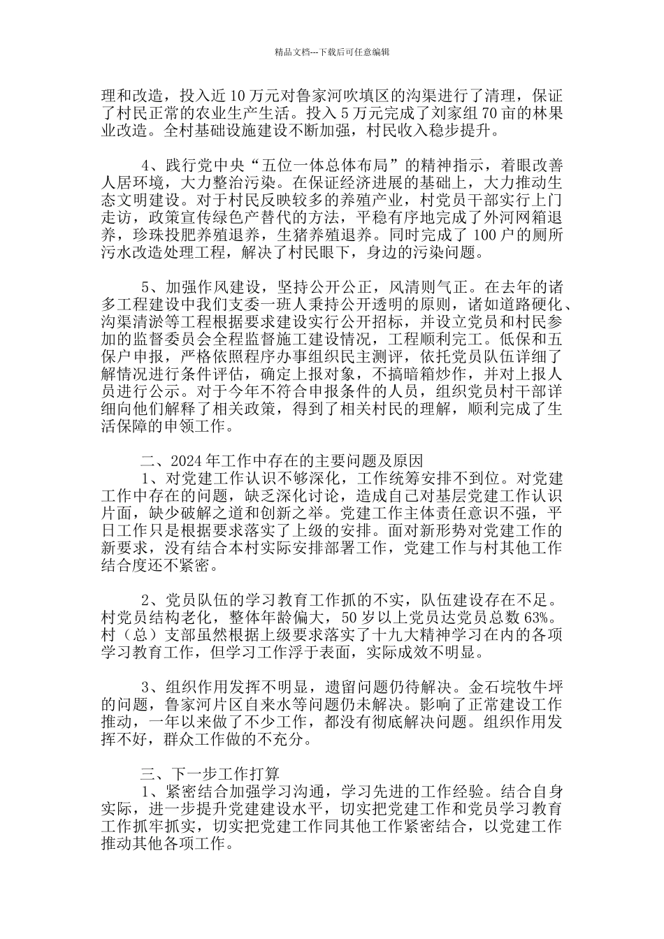 2024年村党总支书记落实主体责任述职报告_第2页