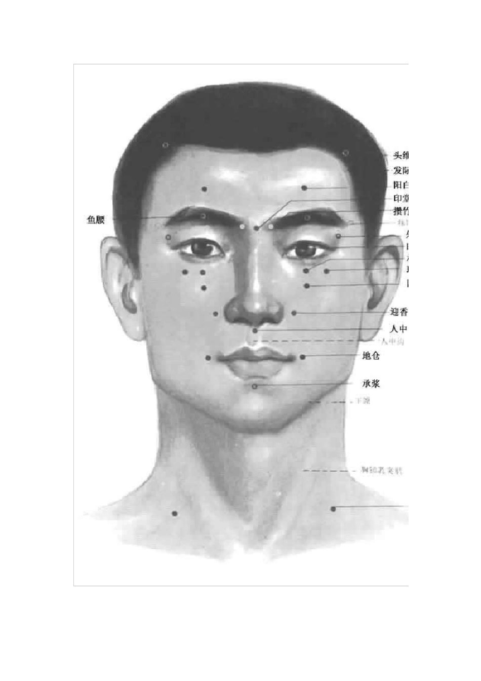 全身穴位图及按摩_第2页