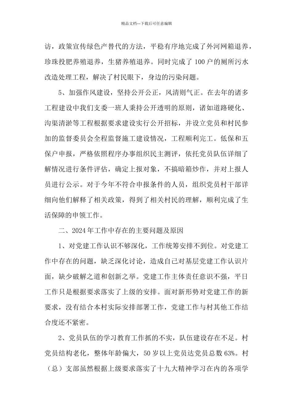 2024年村党总支书记落实主体责任述职报告_第3页