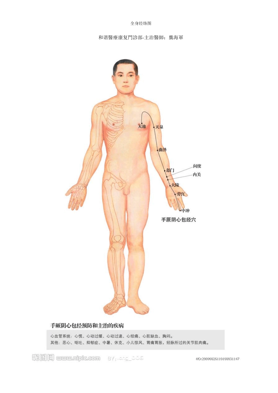 全身经络图专业版_第1页