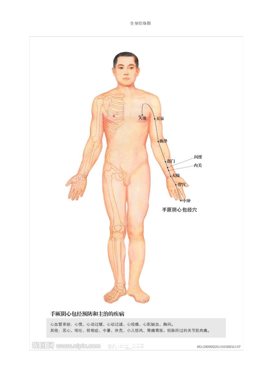 全身经络示范图(养生图片)_第1页