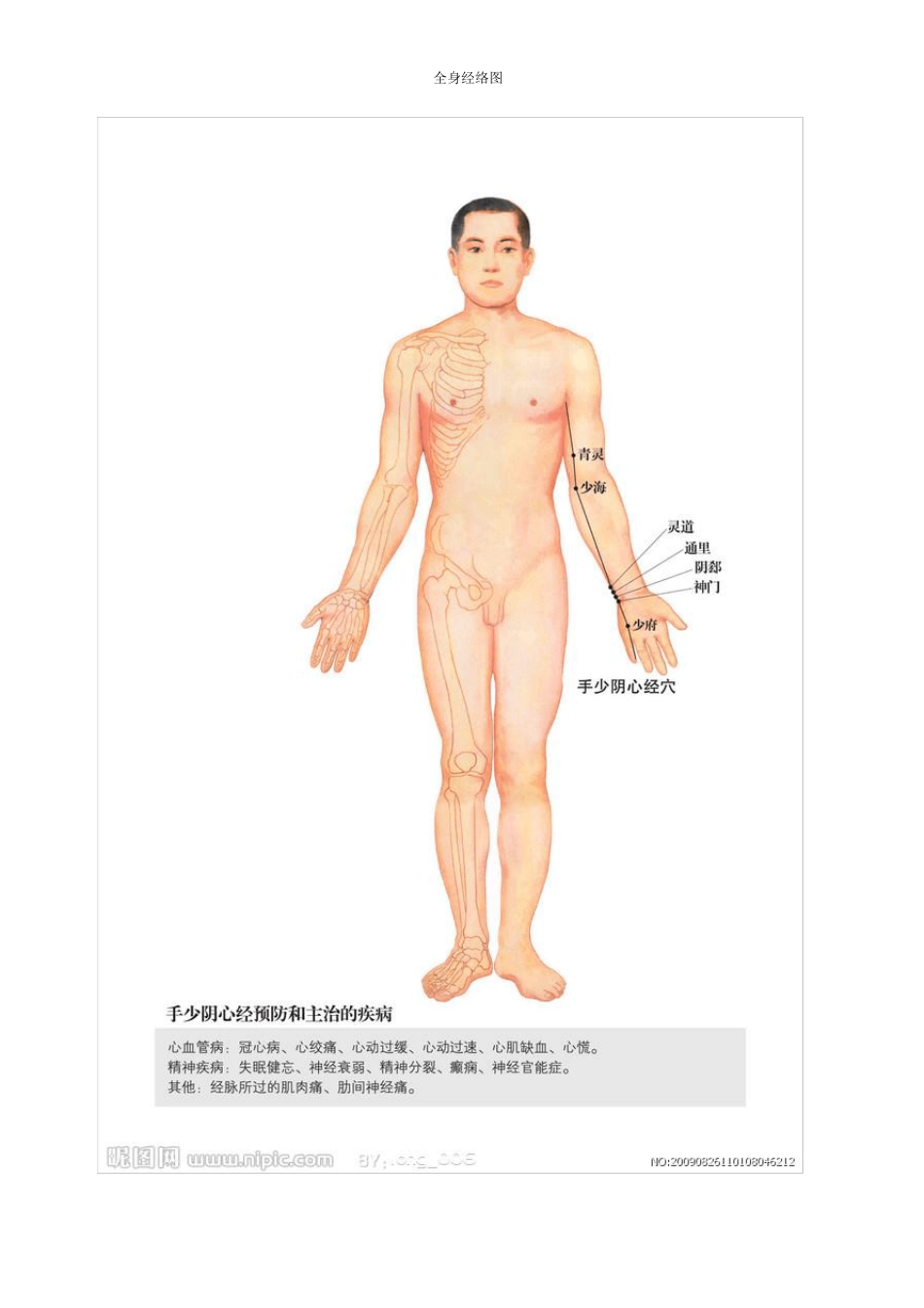 全身经络示范图(养生图片)_第2页