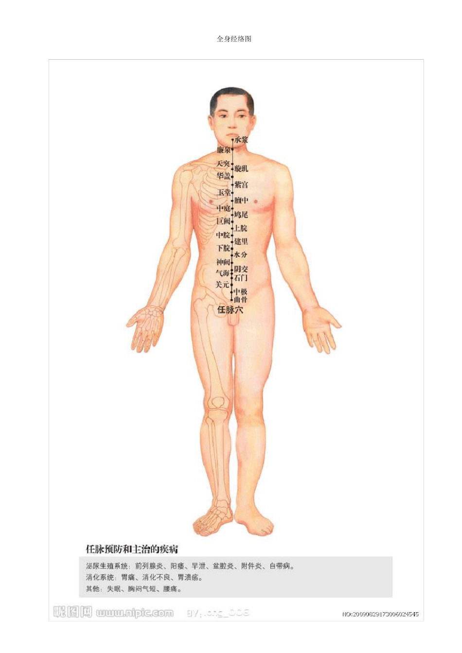 全身经络示范图(养生图片)_第3页
