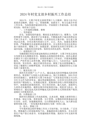 2024年村党支部乡村振兴工作总结