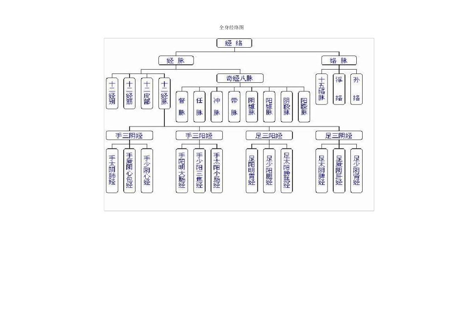 全身经络示范图汇集(_打印版)_第1页