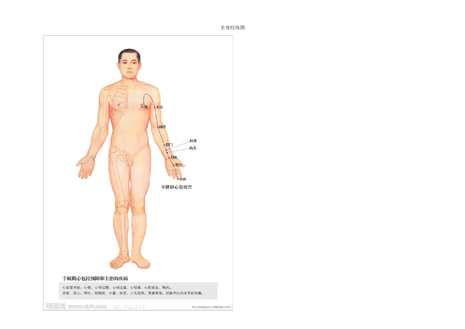 全身经络示范图汇集(_打印版)_第2页