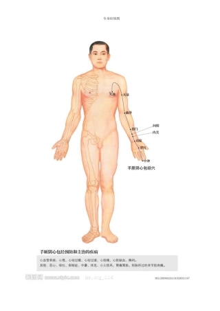 全身经络示范图重新整理