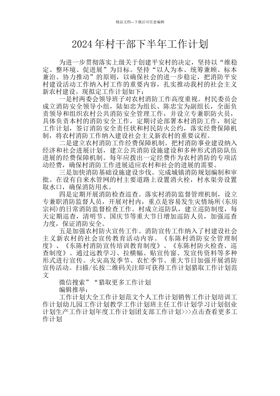 2024年村干部下半年工作计划_第1页