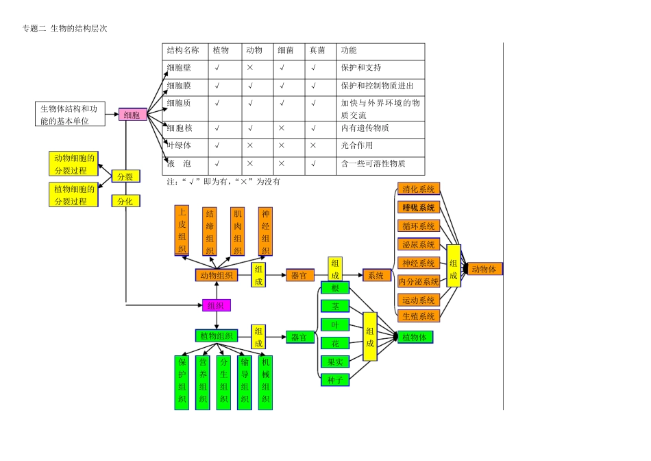 全部初中生物概念图_第2页