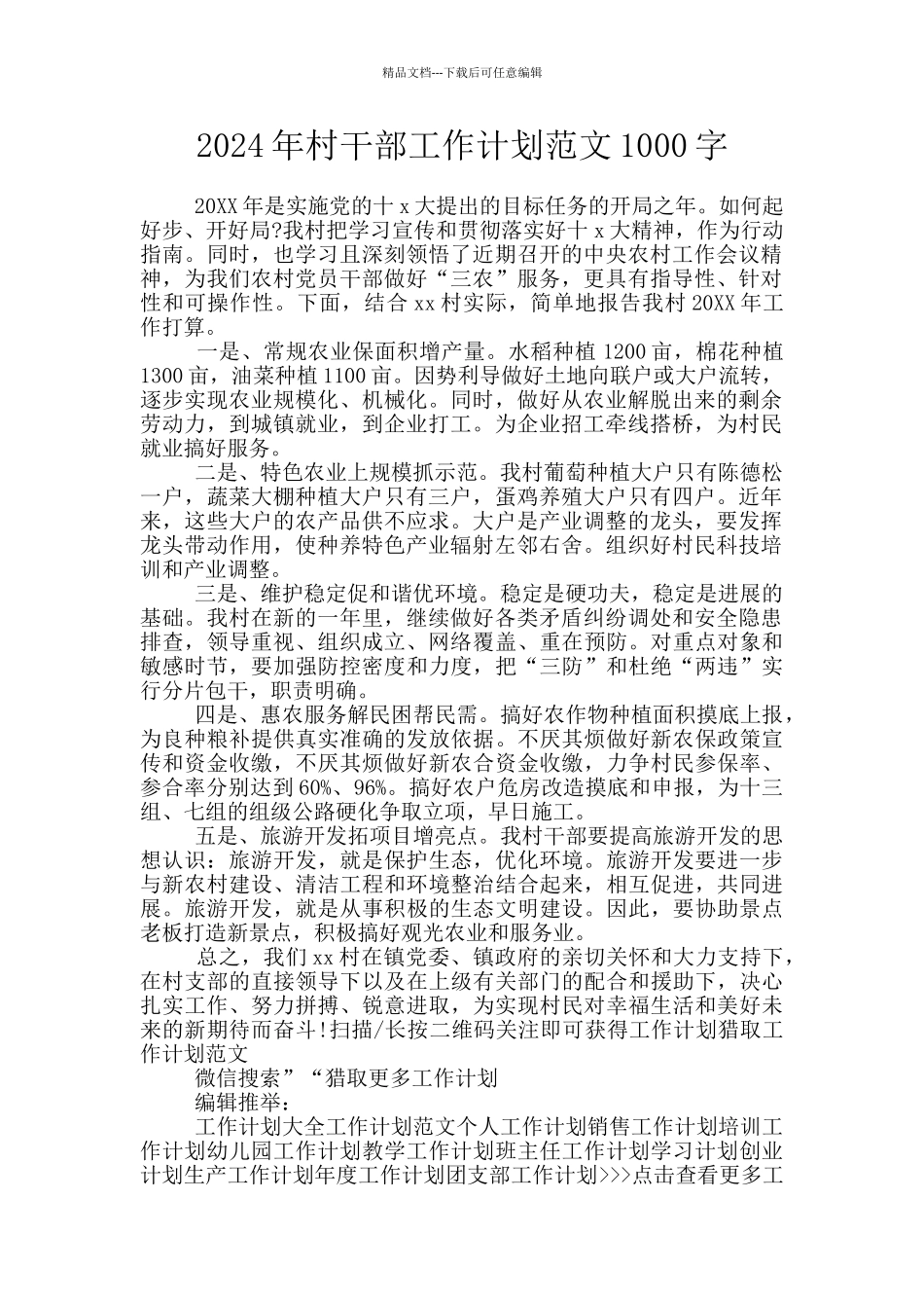 2024年村干部工作计划范文1000字_第1页