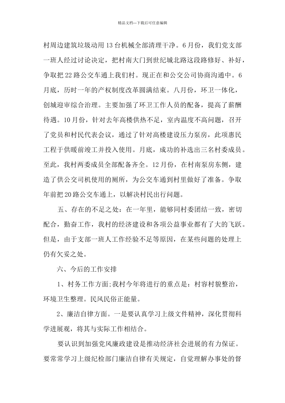 2024年村支书述职报告_第2页