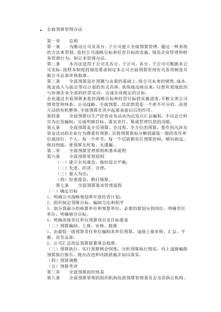 全面预算管理办法